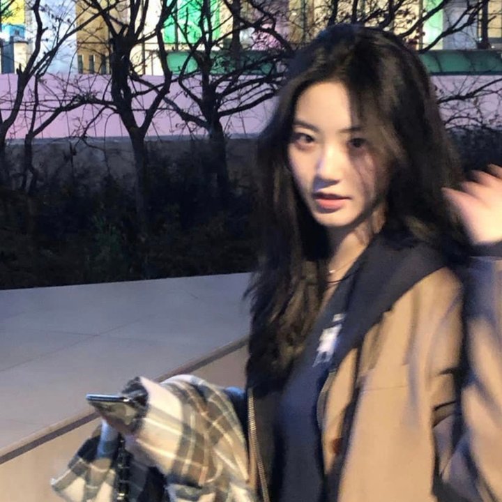 独活女子的推荐第五季